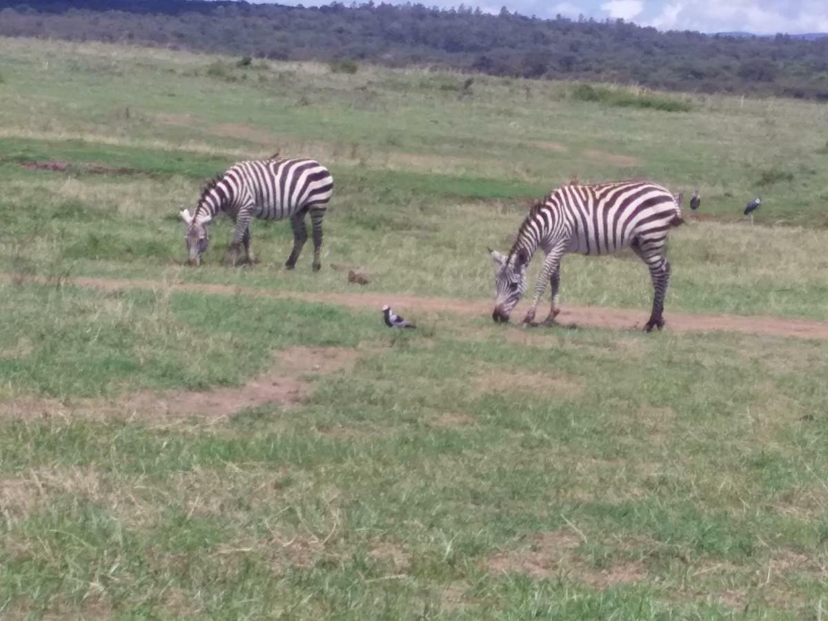 Ann Airport Home And Tour Nairobi Exterior photo